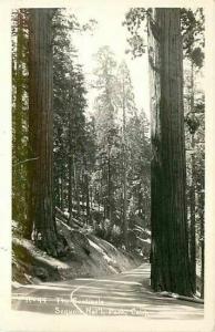 CA, Sequoia National Park, California, The Sentinels, RPPC, No. R-44