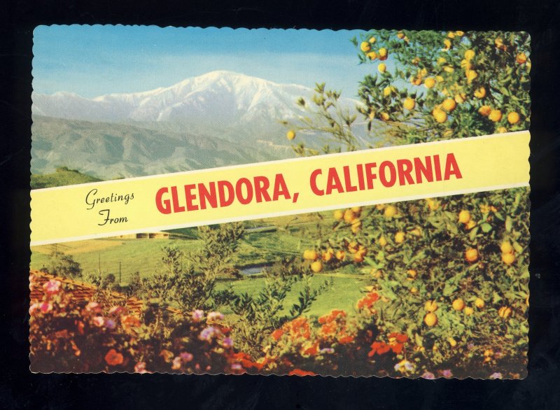 Glendora, California/CA Postcard, View Of Mountains, Orange Trees & Flowers