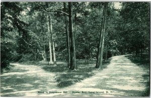 Road to Sagamore Hill, Oyster Bay Long Island NY Vintage Postcard E52