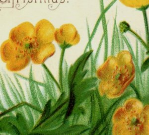 1880s Victorian Merry Christmas Trade Card Yellow Flowers Buttercups? F117