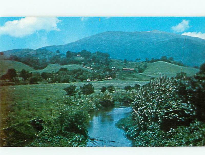 Vintage Post El Yunque Rain Forest Palmer Puerto Rico  # 3760