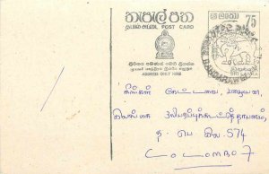 Entier Postal Stationery Postal Sri Lanka Ceylon Lion