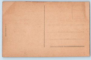 Aurland Norway Postcard Ved Myrdal c1910 Antique Eneret Mittet & Co.