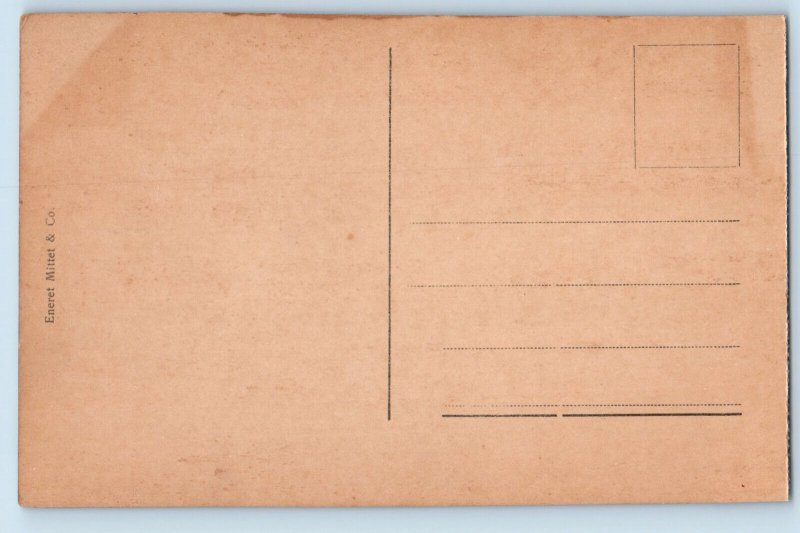 Aurland Norway Postcard Ved Myrdal c1910 Antique Eneret Mittet & Co.