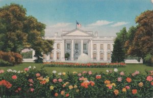 c.1940's White House Flag Washington DC Postcard 2R4-506