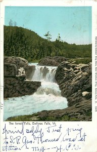 1905 UDB POSTCARD THE FOREST FALLS BELLOWS FALLS VT VERMONT