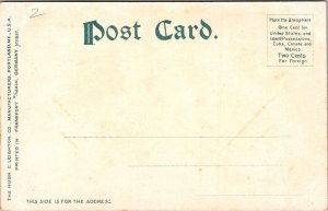 Cambridge Massachusetts MA Washington Elm Antique Postcard UNP UDB Unused 