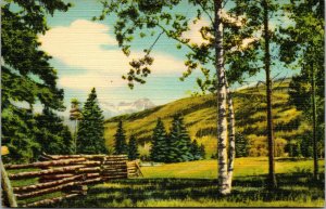Vtg 1930's Beautiful Vista In Colorado Showing Gray Rock Peak CO Linen Postcard