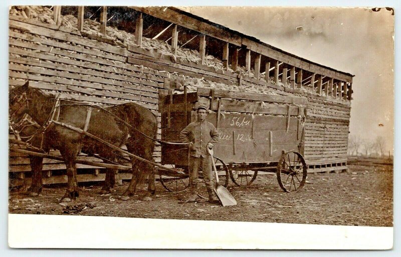 Real Photo Postcard~Farmer~Corn Crib~Shovel 56 Bushells~Horse Wagon~Dec 12 1906 