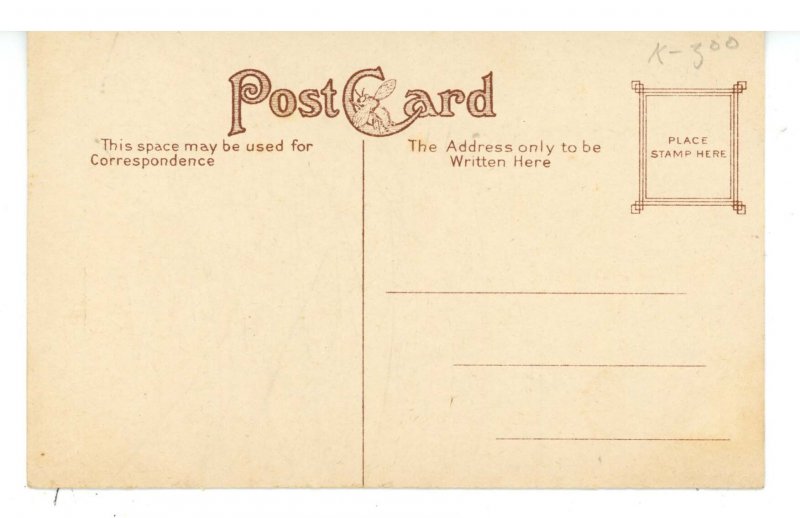 NY - Rochester. Willow Pond