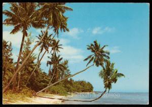 MAURITIUS - ILE MAURICE - Pointe aux Sables