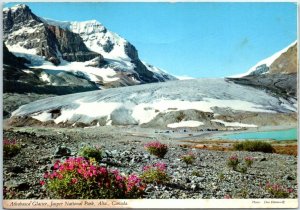 Postcard - Athabasca Glacier - Jasper National Park, Alberta, Canada