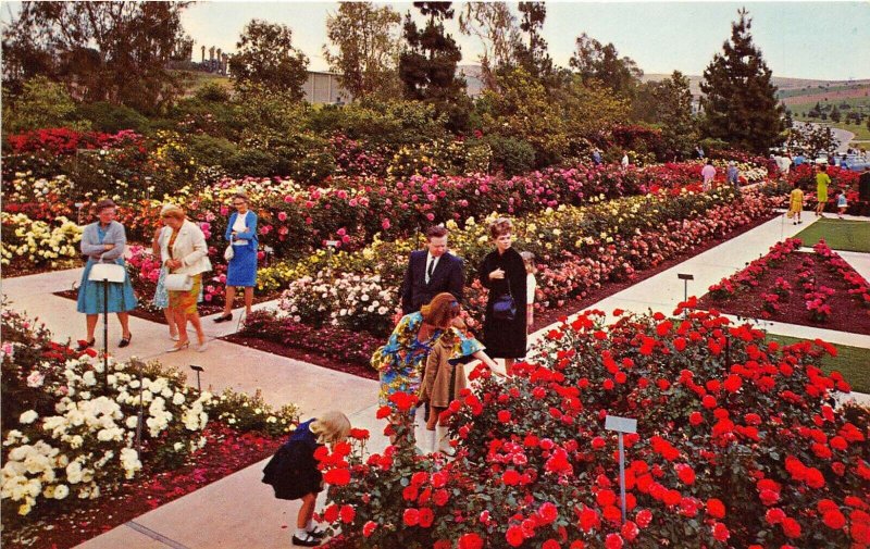 Whittier California 1960s Postcard Rose Hills Memorial Park Rose Garden