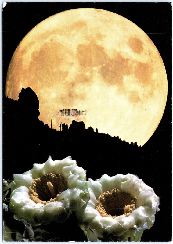 VINTAGE POSTCARD CONTINENTAL SIZE FULL MOON OVER SAGUARO BLOOMS ARIZONA DESERT