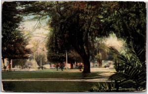 City Park, San Bernardino California Vintage c1911 Postcard H01