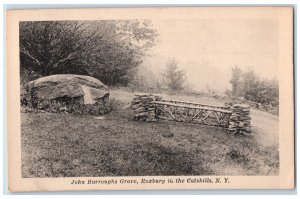 John Burroughs Grave Roxbury In The Catskill New York NY Antique Postcard