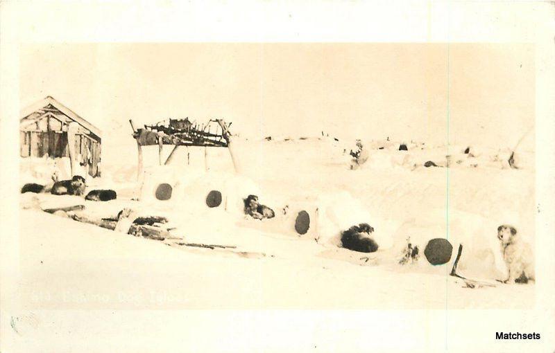 1940s Husky Dog Igloos Alaska Canada RPPC postcard 8682