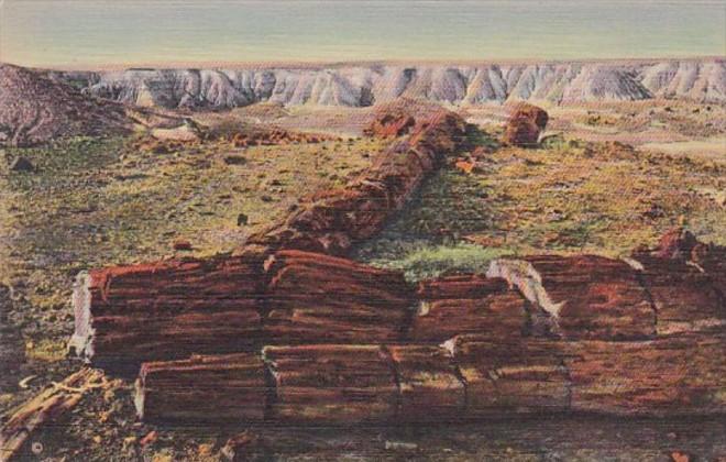 Arizona Twin Sisters In Second Forest Petrified Forest Curteich