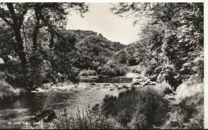 Derbyshire Postcard - In Chee Dale - Real Photograph - Ref TZ5776