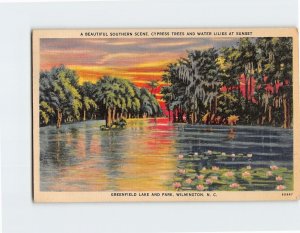 Postcard A Beautiful Southern Scene, Greenfield Lake And Park, Wilmington, N. C.