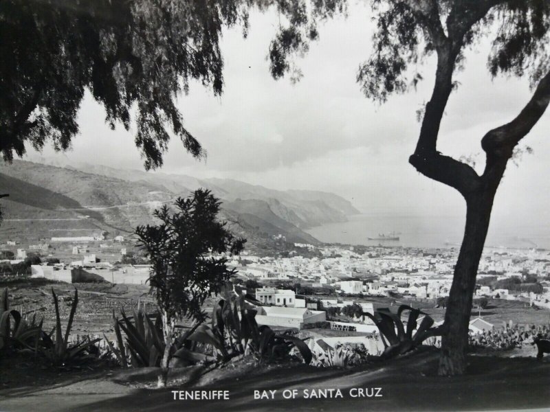Hillside View of The Bay of Santa Cruz Tenerife Spain Vtg B&W RP Postcard 1950s