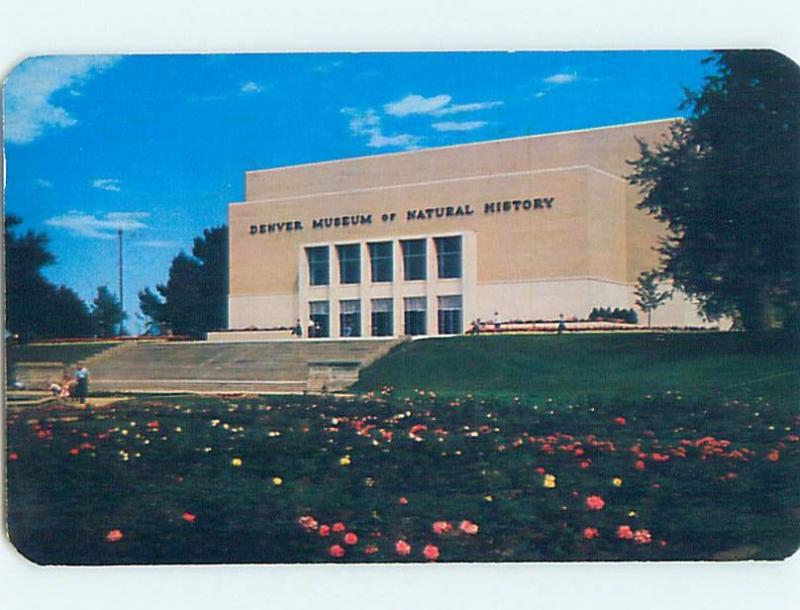 Pre-1980 MUSEUM SCENE Denver Colorado CO ho9643