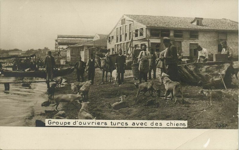 ottoman turkey, Turkish Workmen with Dogs (1899) RPPC Postcard