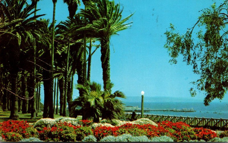 California Santa Monica Palisades Park 1962