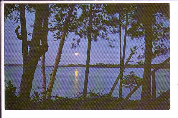 Moonlight Over Peninsula  Lake, Muskoka, Ontario,