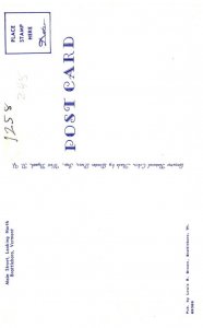 Vermont Brattleboro Main street looking North