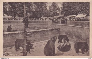 BERNE, Switzerland, 1900-1910s; Barengraben, La Fosse Aux Ours