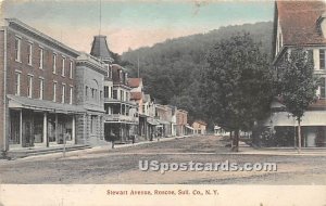 Stewart Avenue - Roscoe, New York NY Postcard
