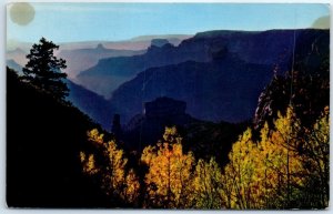 Postcard - Grand Canyon National Park, Arizona, USA