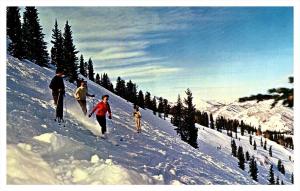 Utah Big Cottonwood Canyon ,  Downhill Skiing