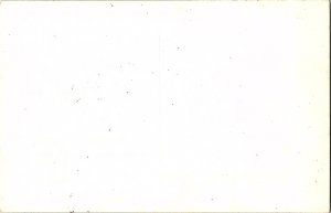 RPPC Postcard Scotty's Castle Grapevine Canyon Death Valley CA 1950s