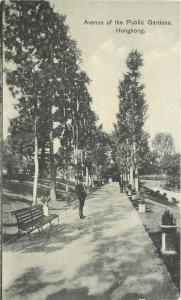 Vintage Postcard Avenue of the Public Gardens Hong Kong China