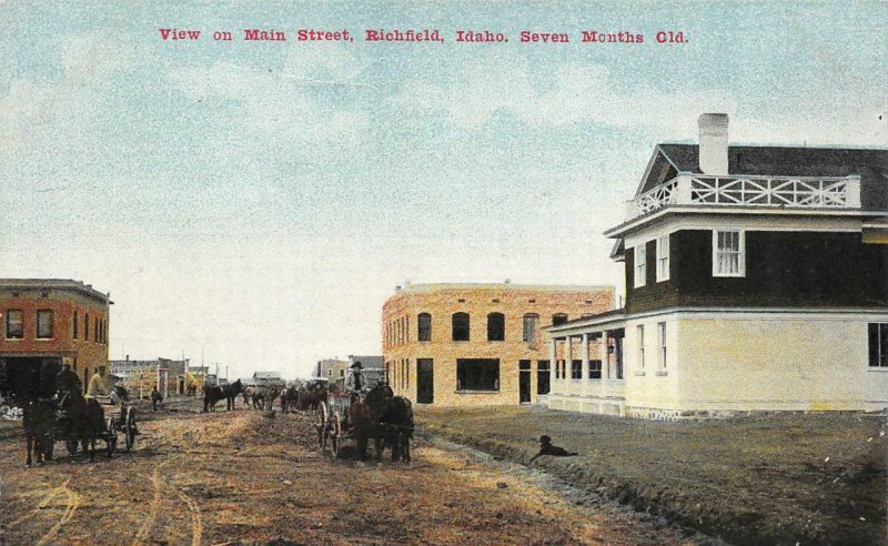 View on Main Street, Richfield, Idaho, Seven Months Old c1910s Vintage Postcard