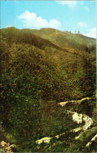 Vtg Loop-Over From Chimney Tops Great Smoky Mountains National Park Postcard