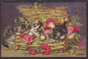 Three Cats in a Basket,D Merlin Postcard 