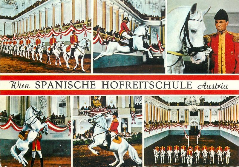 Austria Vienna spanish court riding school postcard multi view horse