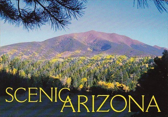 Arizona Flagstaff Scenic Arizona The San Francoisco Peaks