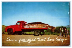 1962 Saw Fair-Sized Trout Here Today Truck Exaggerated Branson Missouri Postcard