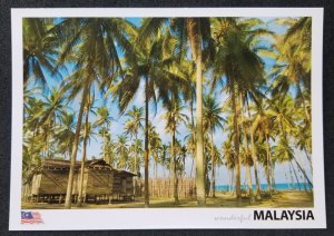 [AG] P342 Malaysia Terengganu Old House Coconut Trees Scenery (postcard *New
