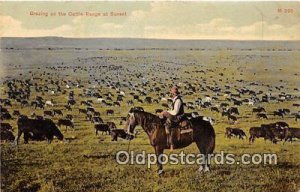 Grazing, Cattle Range Cow Unused 