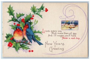 New Year Postcard Greetings Birds And Holly Berries c1910's Posted Antique