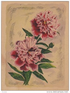 AS; P. Schierer, Pink Carnations, 00-10s