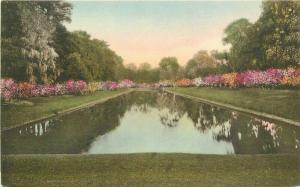 Long Lake Middleton Place Gardens Charleston South Carolina 1920s Postcard 2856
