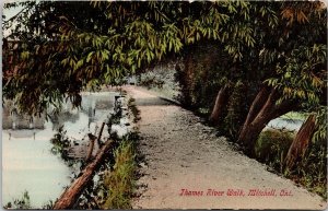 Thames River Walk Mitchell Ontario ON 1913 Forest ONT Cancel Postcard H47