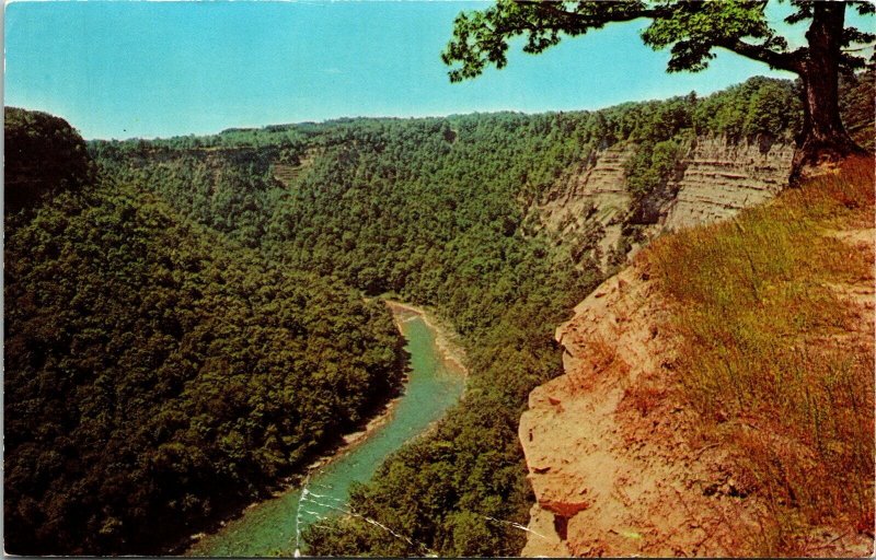 River Gorge Letchworth State Park Castile New York Postcard PM Cancel WOB Note 