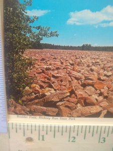 Postcard Boulder Field, Hickory Run State Park, Pennsylvania